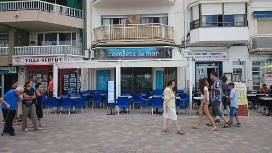 Cavallets de Mar