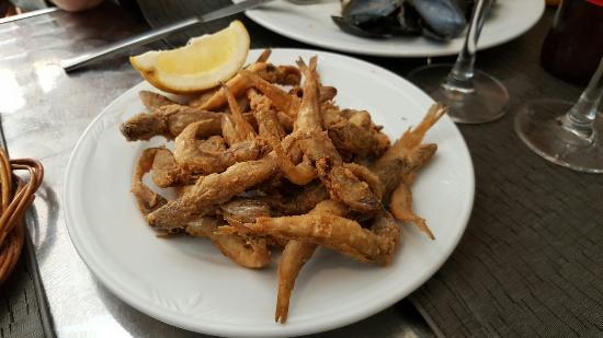 A la Vora de l'Ebre