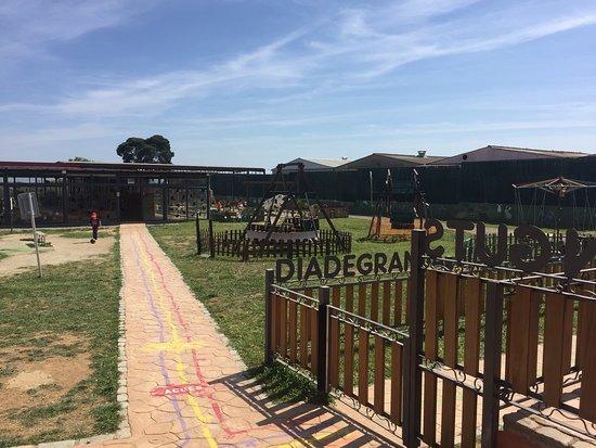Dia de Granja